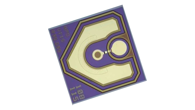 Avalanche Photodiode (APD) 10G Chip